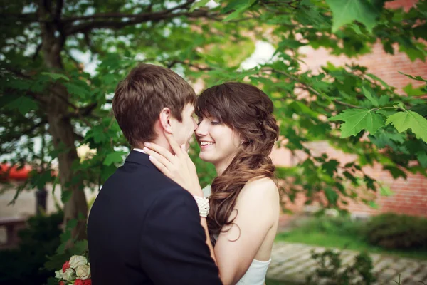 Bride and groom — Stock Photo, Image