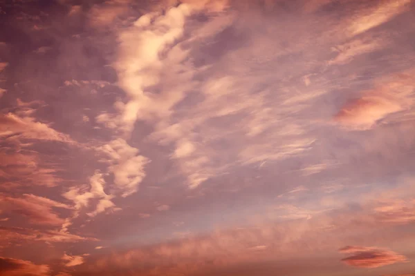 Colores púrpura y rosa en el cielo del atardecer — Foto de Stock