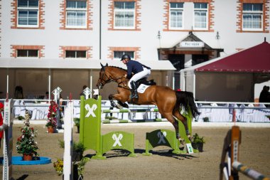 Yıllık atlama CSI 4 turnuvada Chernyahovsk