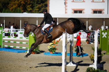 Yıllık atlama CSI 4 turnuvada Chernyahovsk