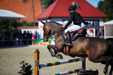 Yıllık atlama CSI 4 turnuvada Chernyahovsk