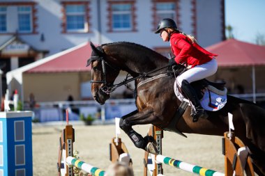 Yıllık atlama CSI 4 turnuvada Chernyahovsk