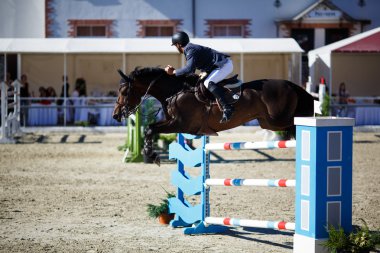 Yıllık atlama CSI 4 turnuvada Chernyahovsk