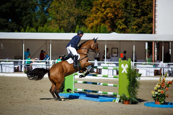 Torneo anual de salto espectáculo CSI 4 en Chernyahovsk —  Fotos de Stock