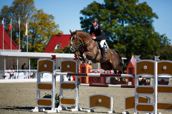 Årlig show hoppe turnering CSI 4 i Chernyahovsk - Stock-foto