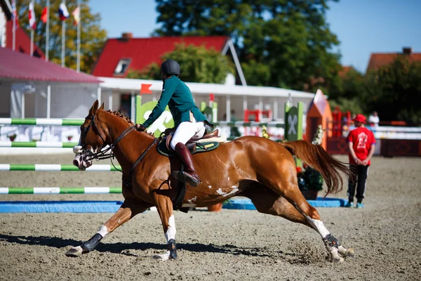 Annual show jumping tournament CSI 4 in Chernyahovsk — Stock Photo, Image