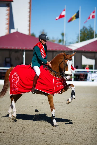 Torneo anual de salto espectáculo CSI 4 en Chernyahovsk — Foto de Stock