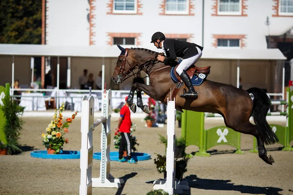 Tournoi annuel de saut d'obstacles CSI 4 à Chernyahovsk — Photo