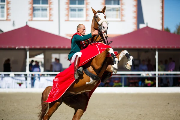 Annual show jumping tournament CSI 4 in Chernyahovsk — Stock Photo, Image