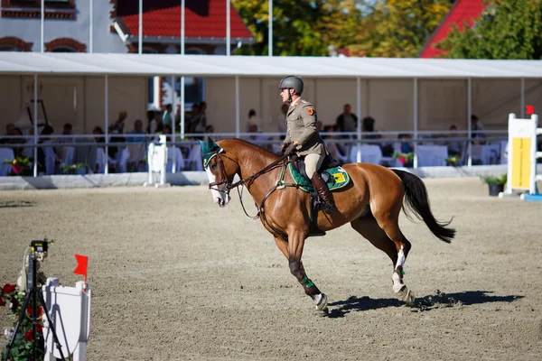 Annual show jumping tournament CSI 4 in Chernyahovsk — Stock Photo, Image