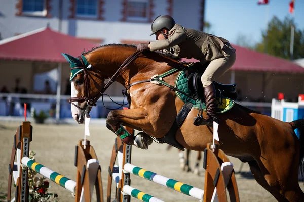 Torneo annuale di salto spettacolo CSI 4 a Chernyahovsk — Foto Stock