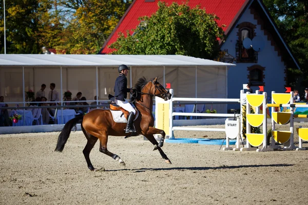 Jährliches Springturnier csi 4 in chernyahovsk — Stockfoto