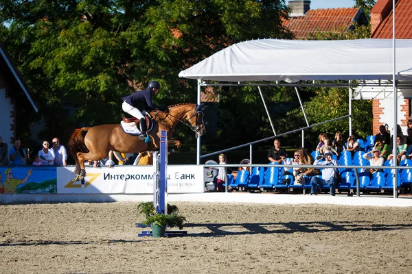 Torneo anual de salto espectáculo CSI 4 en Chernyahovsk —  Fotos de Stock