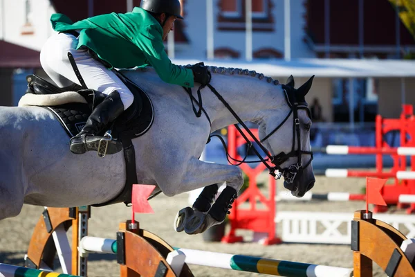 Torneo anual de salto espectáculo CSI 4 en Chernyahovsk —  Fotos de Stock