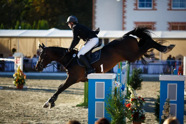 Årlig show hoppe turnering CSI 4 i Chernyahovsk - Stock-foto