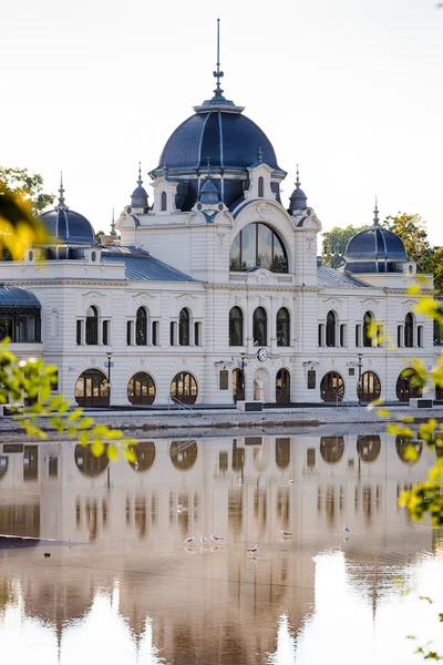 Varosliget parque público de la ciudad, Budapest —  Fotos de Stock