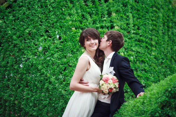 Bride and groom — Stock Photo, Image