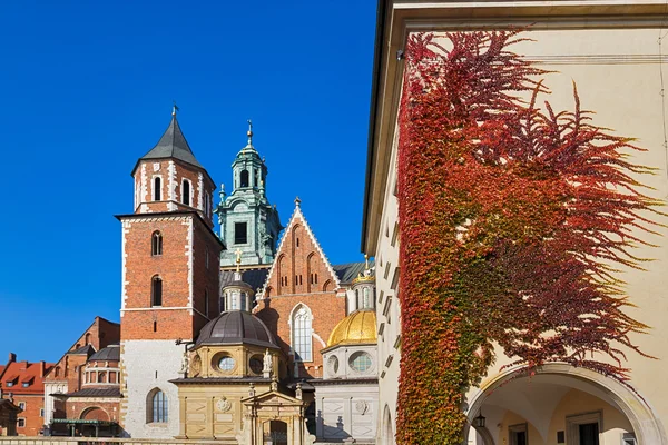 Krakow wawel Royal palace — Stok fotoğraf