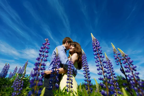 Couple in lupine flowers field — Stock Photo, Image