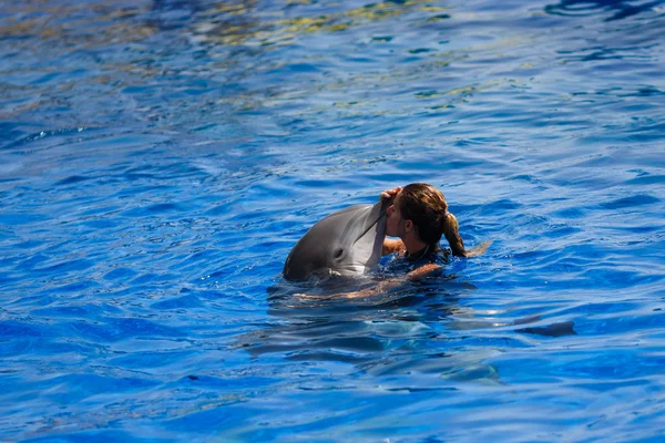 Golfinhos show em Palma de Maiorca — Fotografia de Stock