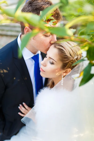 Pareja casada juntos —  Fotos de Stock