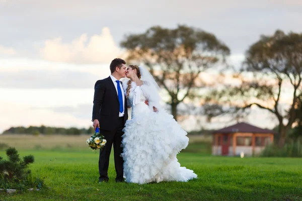 Bride and groom walking on the field — Stock Photo, Image