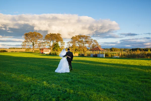 Bride and groom walking on the field — Stock Photo, Image