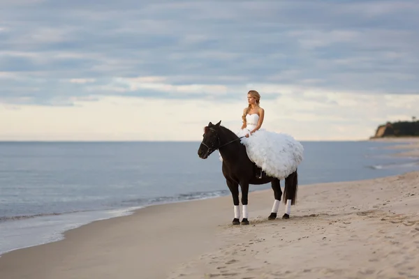 海沿いの馬に乗って花嫁 — ストック写真