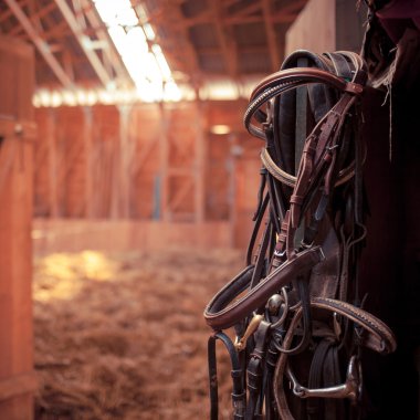 at bridles ahırda asılı