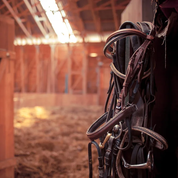 Brides de cheval suspendues dans l'écurie — Photo