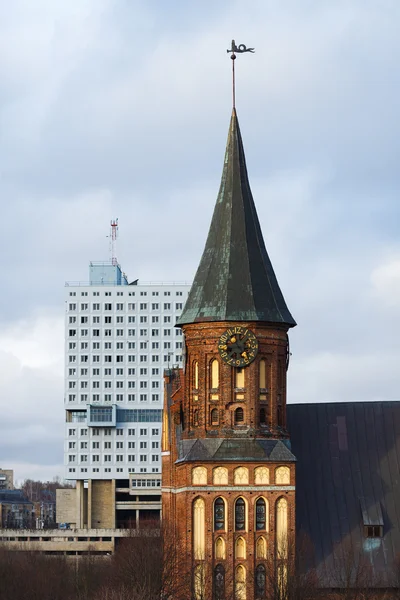Cathedral in Kaliningrad — Stock Photo, Image