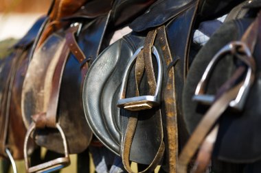 Leather saddle horse clipart