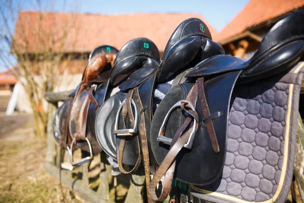 Leather saddle horse — Stock Photo, Image