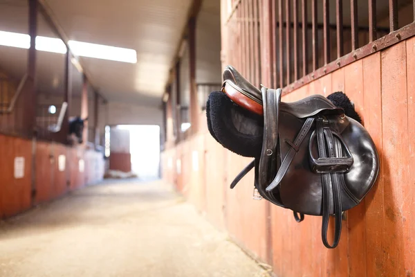 Leather saddle horse — Stock Photo, Image