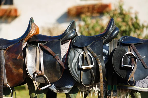 Leather saddle horse — Stock Photo, Image