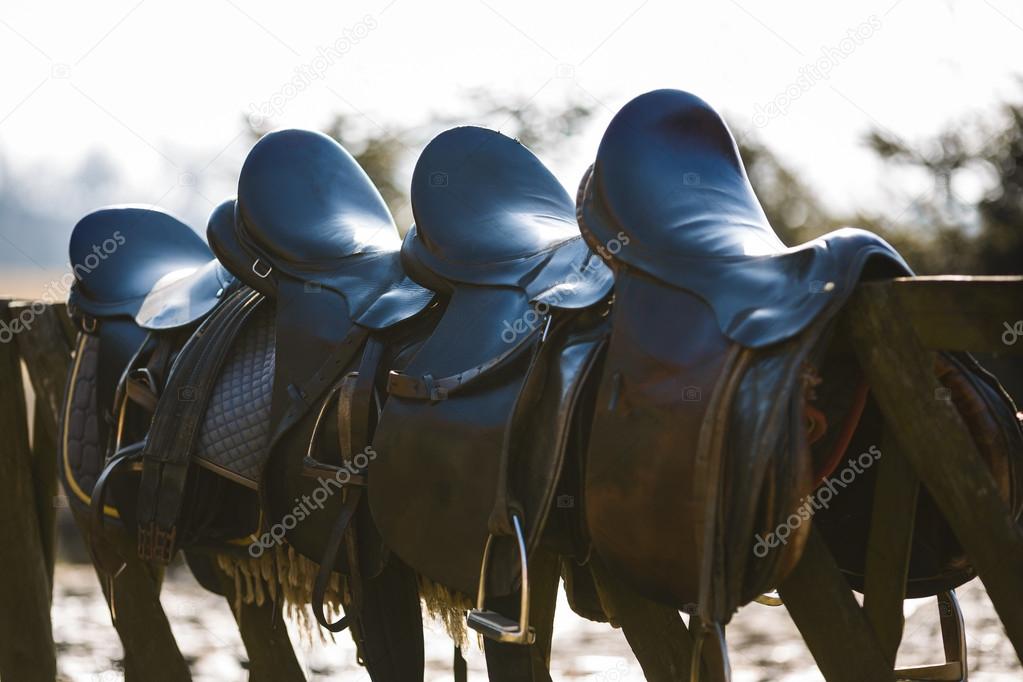 Leather saddle horse