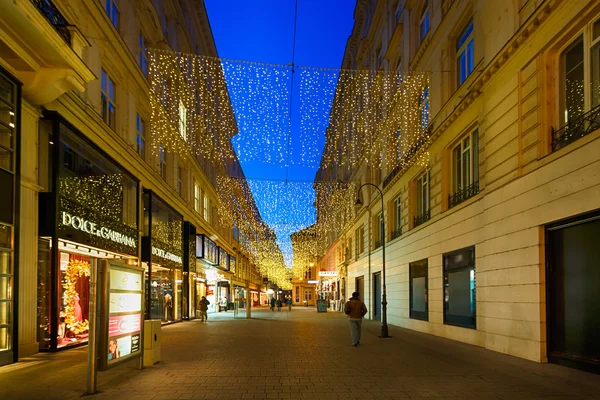 Pěší ulice ve Vídni — Stock fotografie