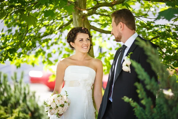 Glückliche Braut und Bräutigam — Stockfoto