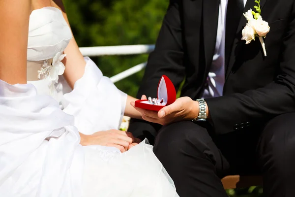 Jegygyűrűk a vőlegény és a menyasszony kezében — Stock Fotó