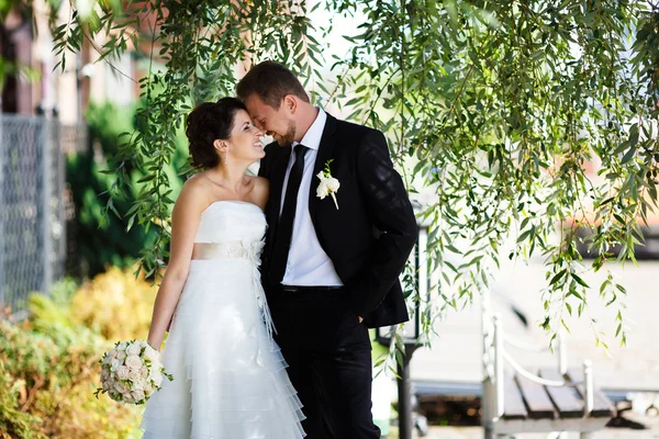 Glückliches Hochzeitspaar — Stockfoto