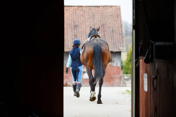 Jinete con el caballo — Foto de Stock