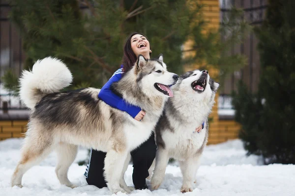 Kvinna med malamutes — Stockfoto