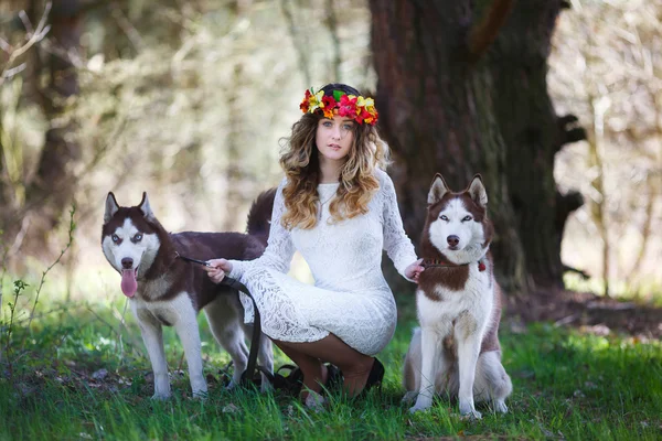 Husky a dívka — Stock fotografie