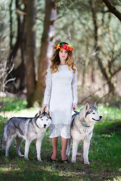 Husky a dívka — Stock fotografie