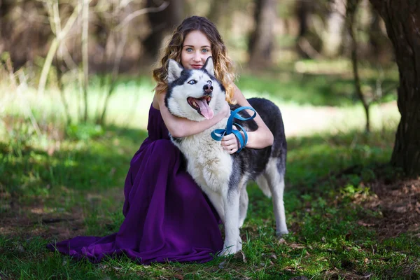 Husky y la chica — Foto de Stock