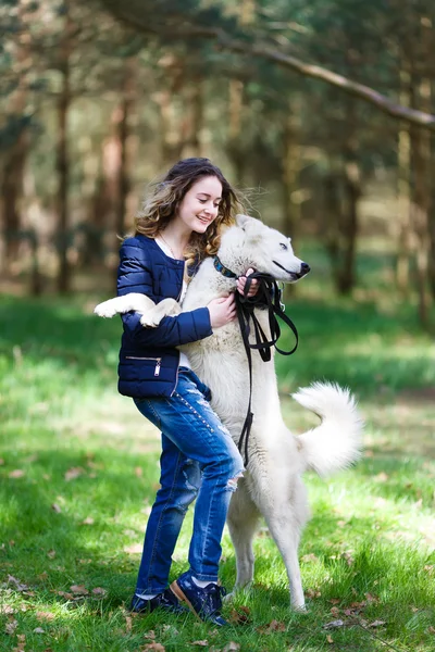 Chica feliz con perro husky — Foto de Stock