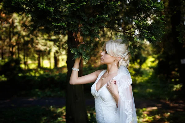 Retrato de novia hermosa — Foto de Stock