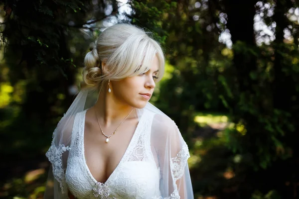 Portrait of beautiful bride — Stock Photo, Image