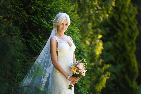 Portrait of beautiful bride — Stock Photo, Image