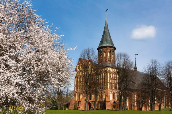 Frühling in der Stadt — Stockfoto